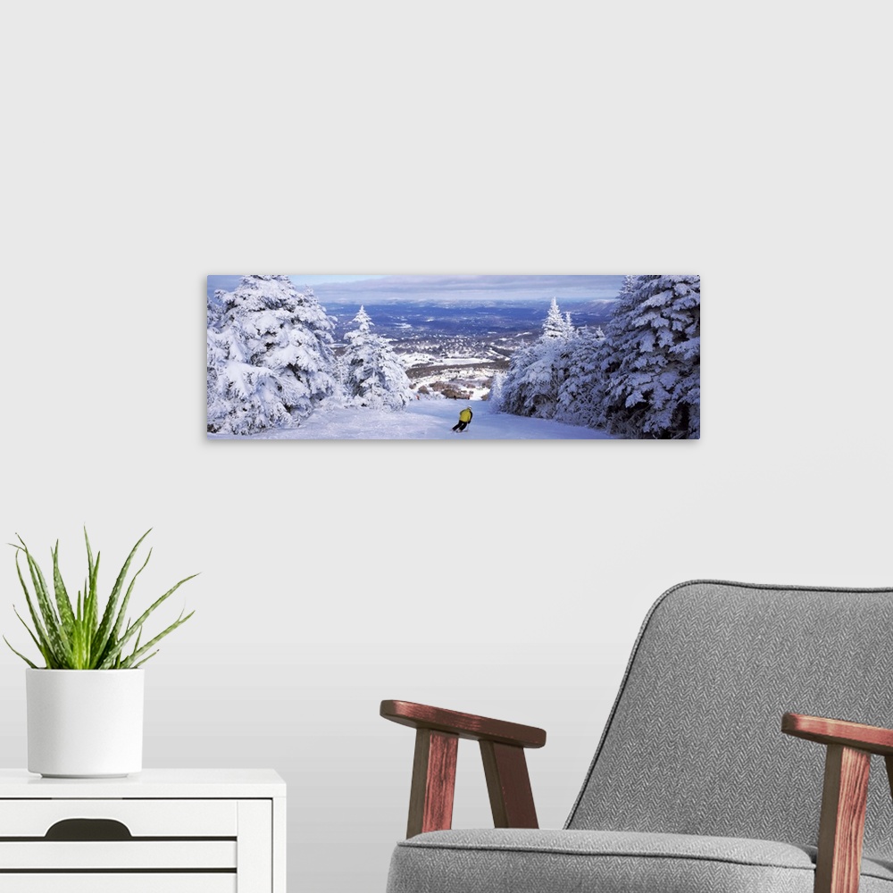 A modern room featuring Panoramic photograph of mountain slope lined with snow covered trees under a cloudy sky.