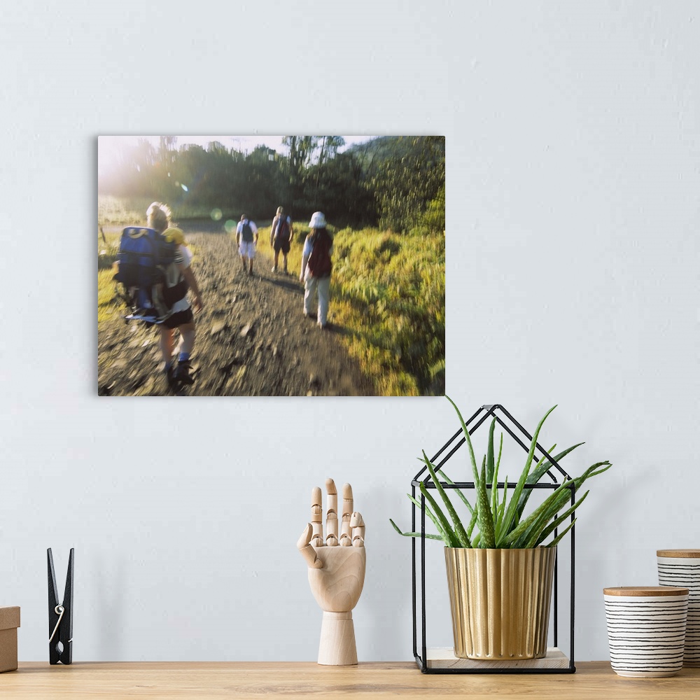 A bohemian room featuring Rear view of four people walking on a dirt road, Costa Rica