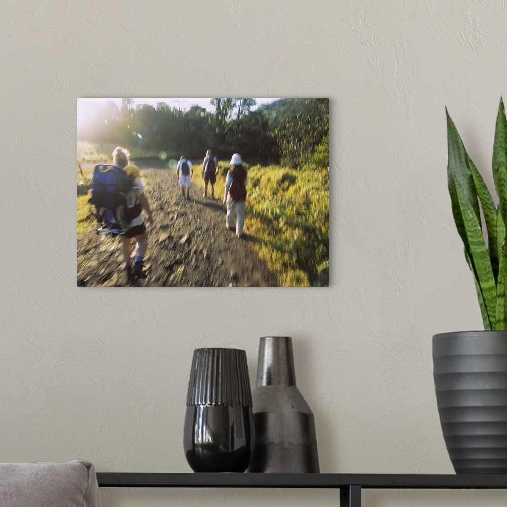 A modern room featuring Rear view of four people walking on a dirt road, Costa Rica