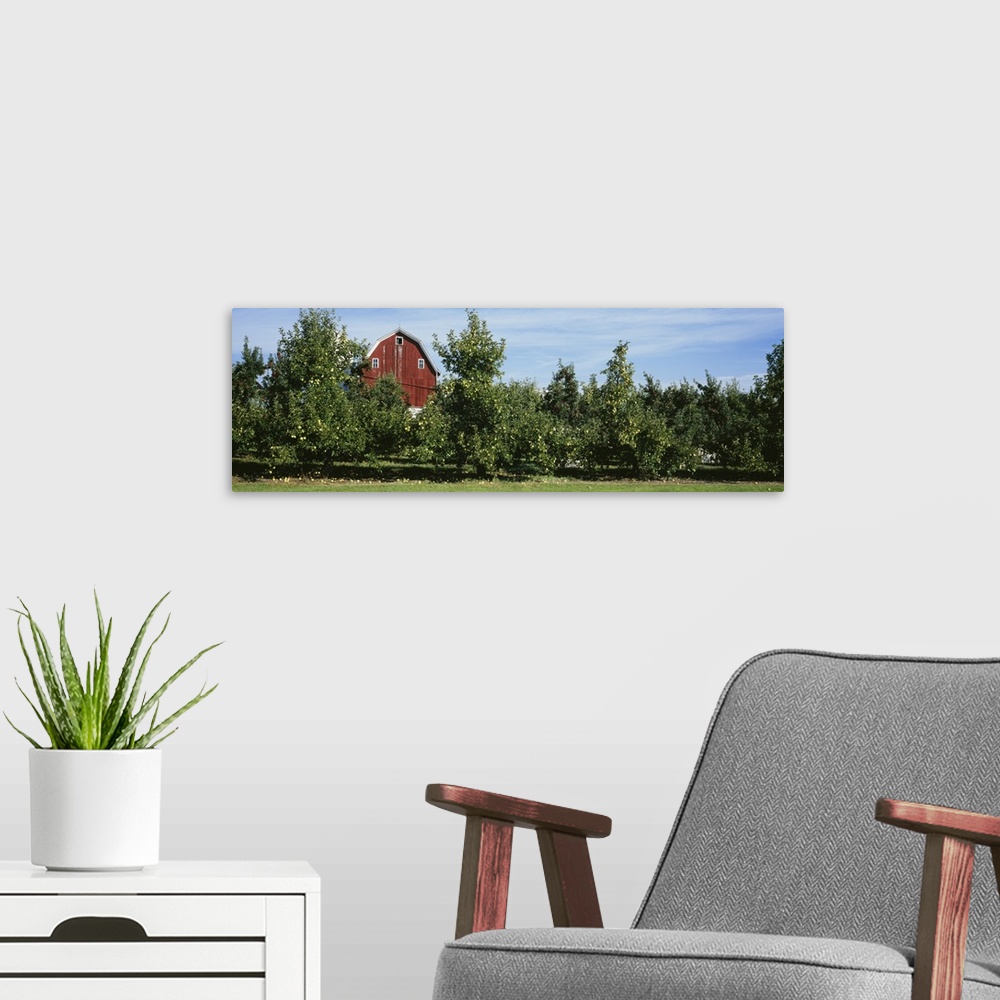 A modern room featuring Red Barn Behind Apple Trees, Grand Rapids, Michigan