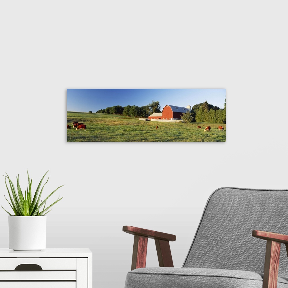 A modern room featuring Red Barn Cattle Kent County MI