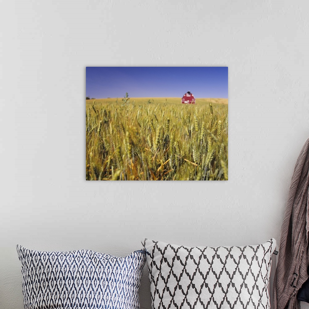 A bohemian room featuring Big image on canvas of a wheat field with a red barn in the middle of it viewed from the top of t...