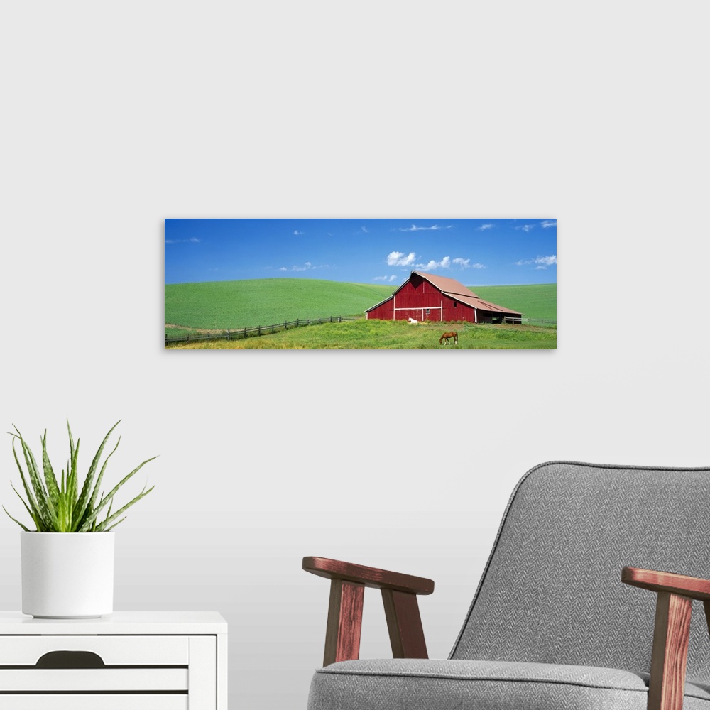A modern room featuring Empty farmland, gently rolling hills, and single structure with two horses photographed from a di...