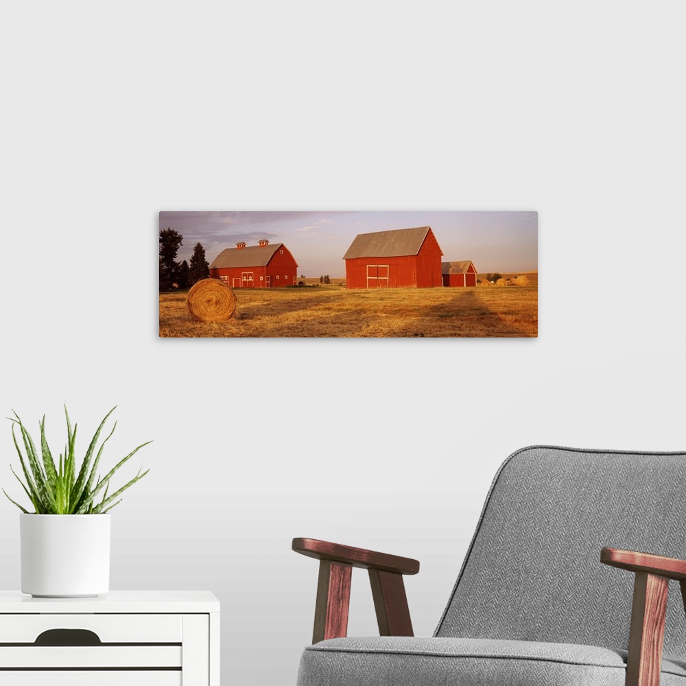 A modern room featuring Two red barns sit in a large open field. A single hay bale sits in the foreground of the picture.