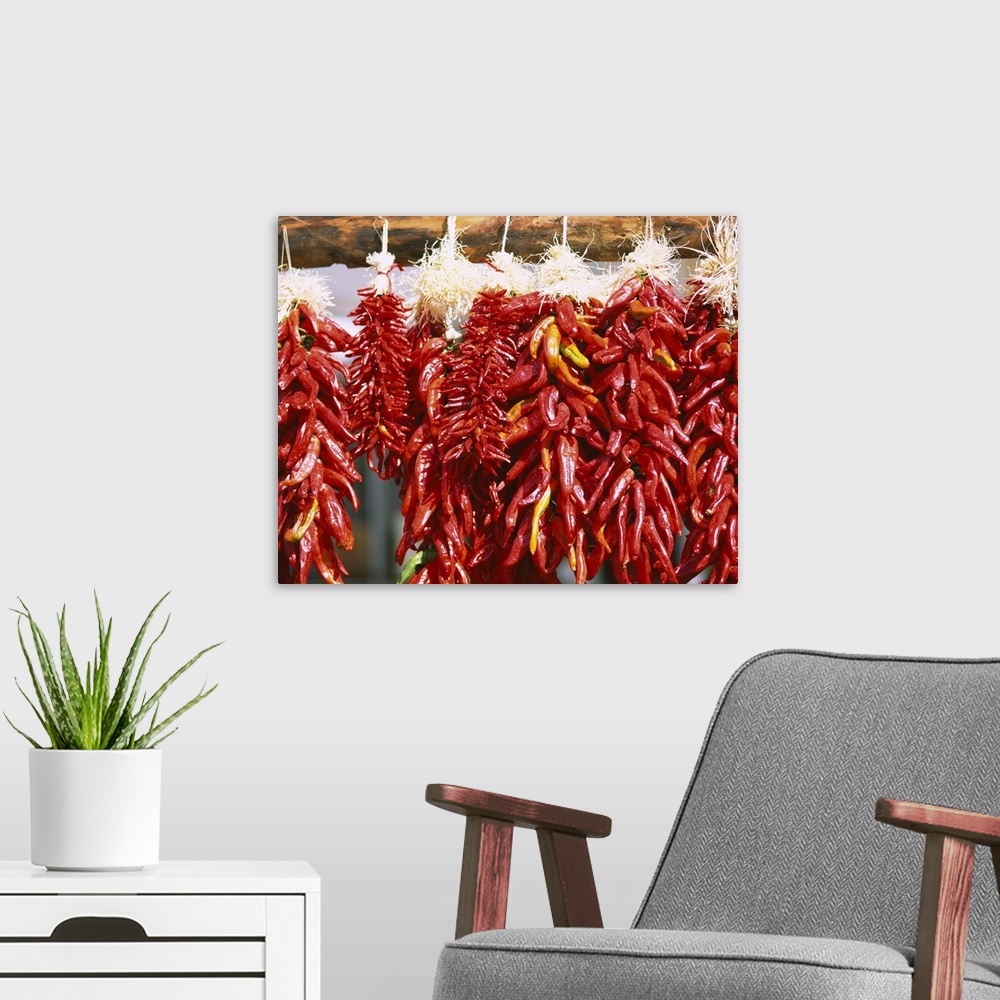 A modern room featuring Red chili peppers hanging on a log, Taos, Taos County, New Mexico
