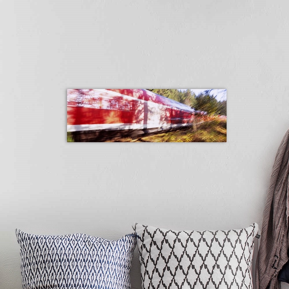 A bohemian room featuring Red commuter train passing through a forest, Baden-Wurttemberg, Germany