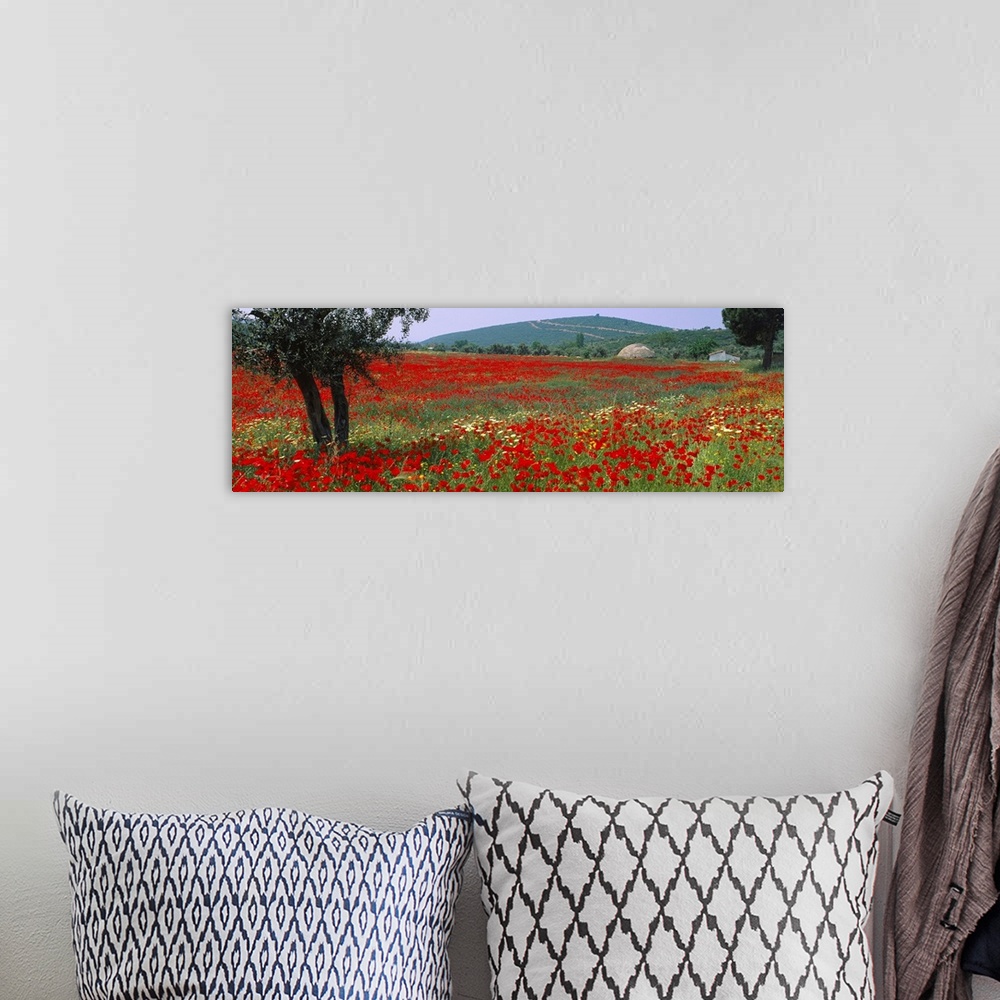 A bohemian room featuring A field amongst hills in an arid climate wildflowers bloom in the grass on this panoramic wall ar...