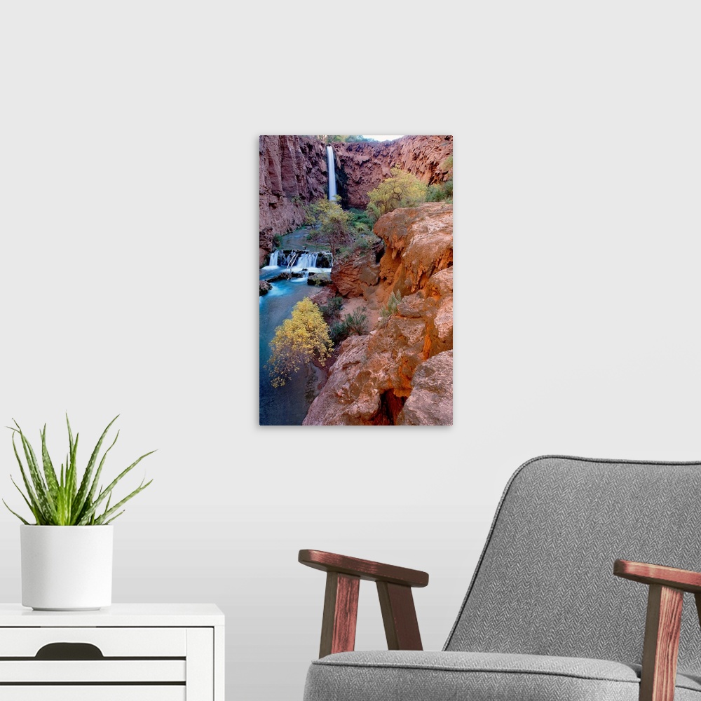 A modern room featuring This vertical, landscape photograph shows the waterfall, stream bed, and the plants growing aroun...