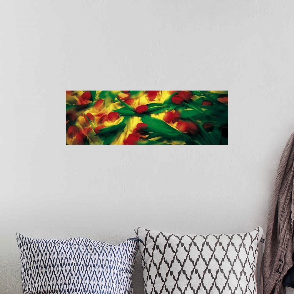A bohemian room featuring Panoramic soft focus photograph of flowers scattered on top of a bright silky fabric.