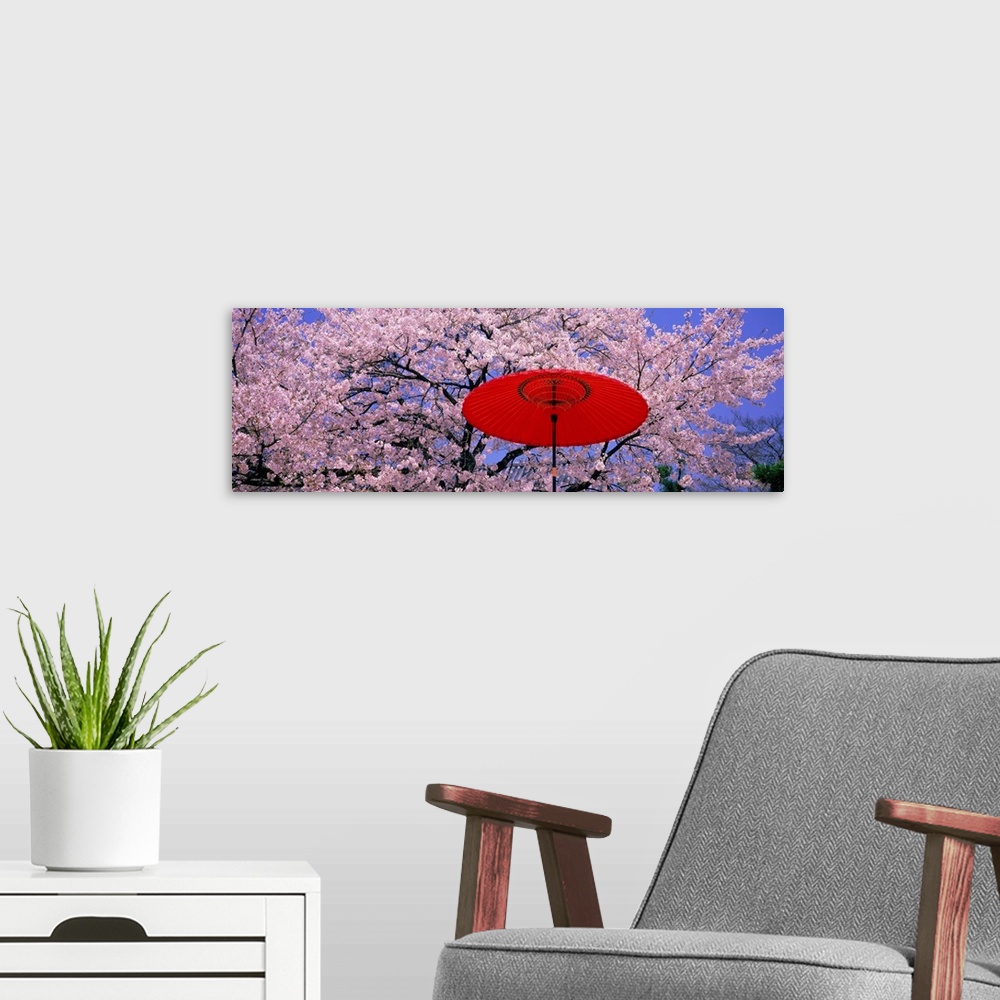 A modern room featuring Panoramic wall docor of brightly colored flowering trees with an umbrella in the foreground.