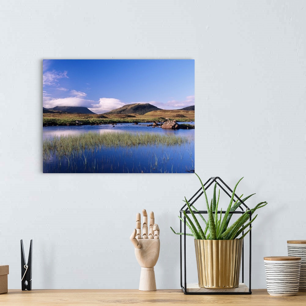 A bohemian room featuring Reeds in a lake, Loch na h-Achlaise, Rannoch Moor, Highland Region, Scotland II
