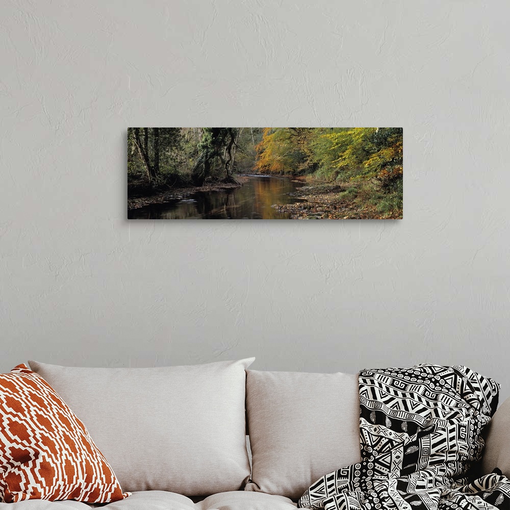 A bohemian room featuring Reflection of autumn trees in a river River Teign Dunsford Dartmoor Devon England