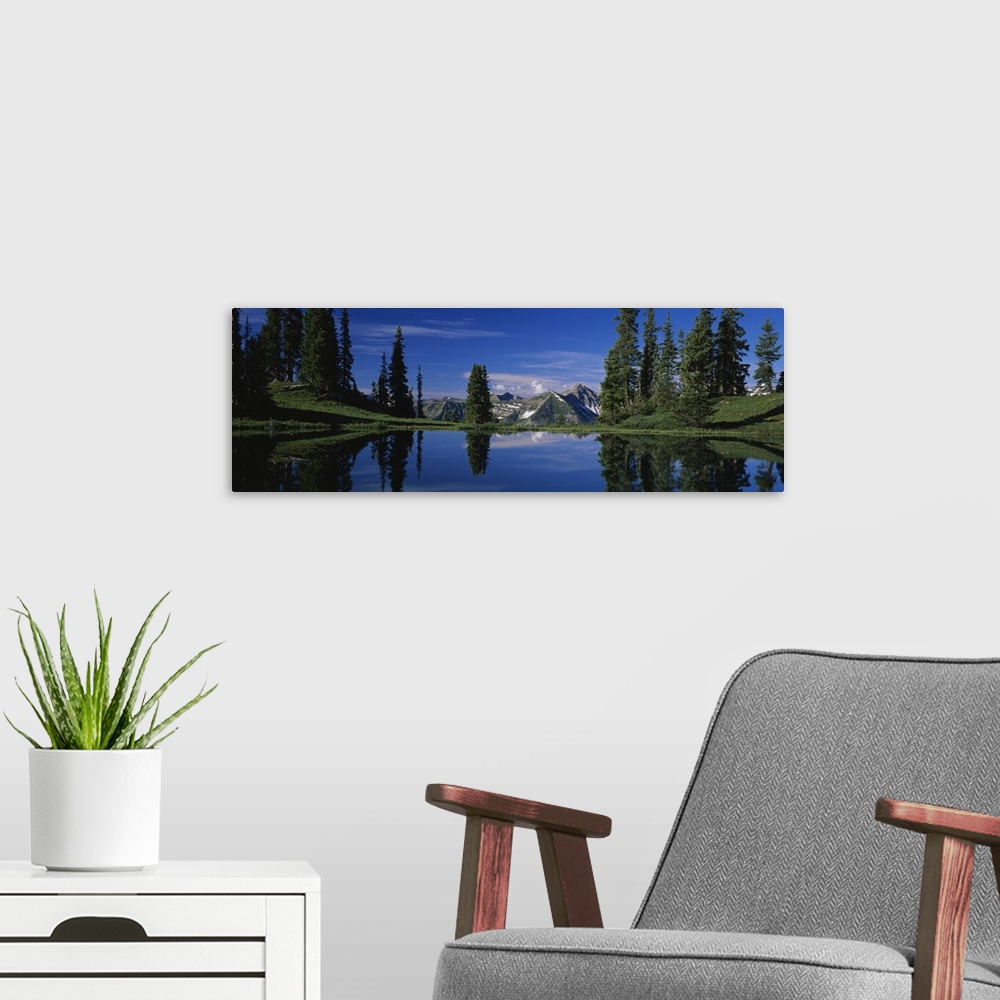 A modern room featuring Reflection of pine trees in a lake, Alpine Lake, Gunnison National Forest, Colorado