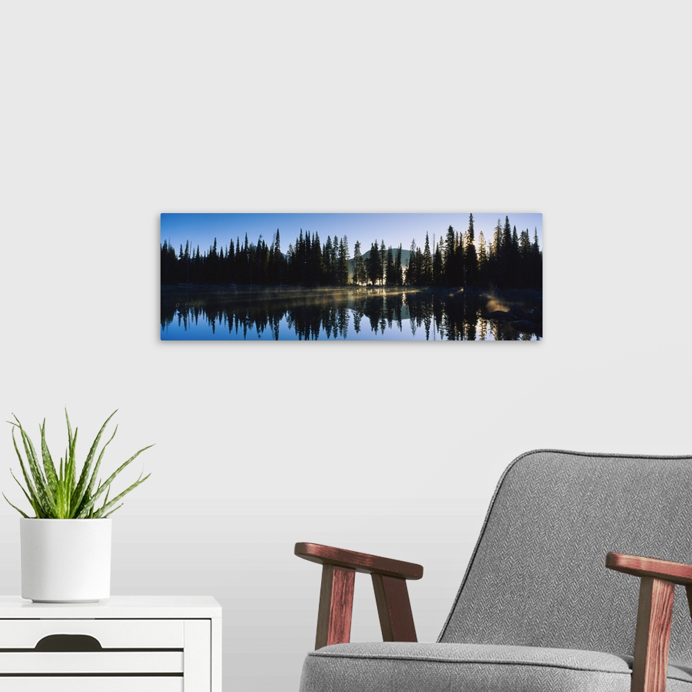 A modern room featuring Reflection of pine trees in a lake, Sparks Lake, Deschutes County, Oregon