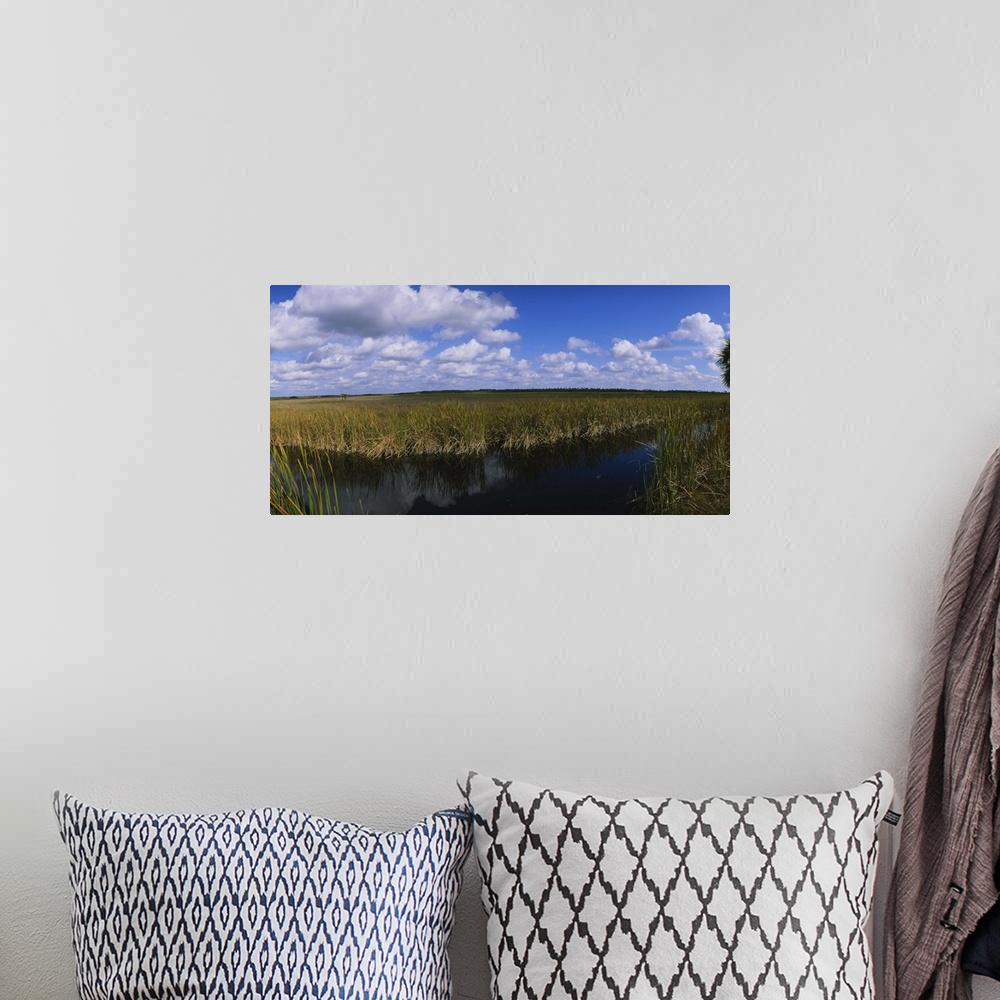 A bohemian room featuring Reflection of tall grass and cloud in water, Everglades National Park, Florida