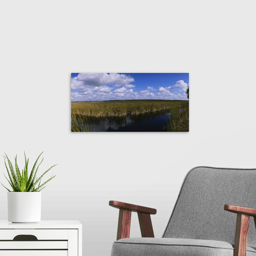 A modern room featuring Reflection of tall grass and cloud in water, Everglades National Park, Florida