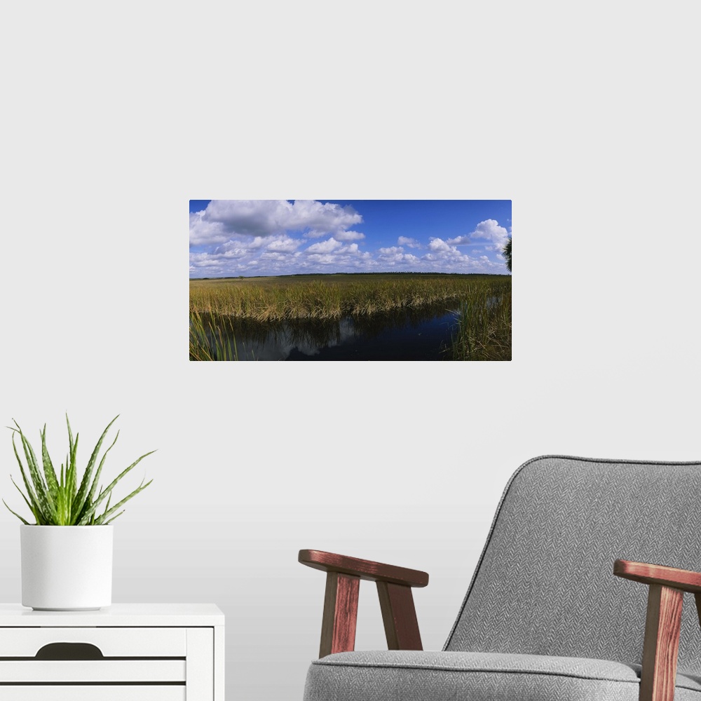 A modern room featuring Reflection of tall grass and cloud in water, Everglades National Park, Florida