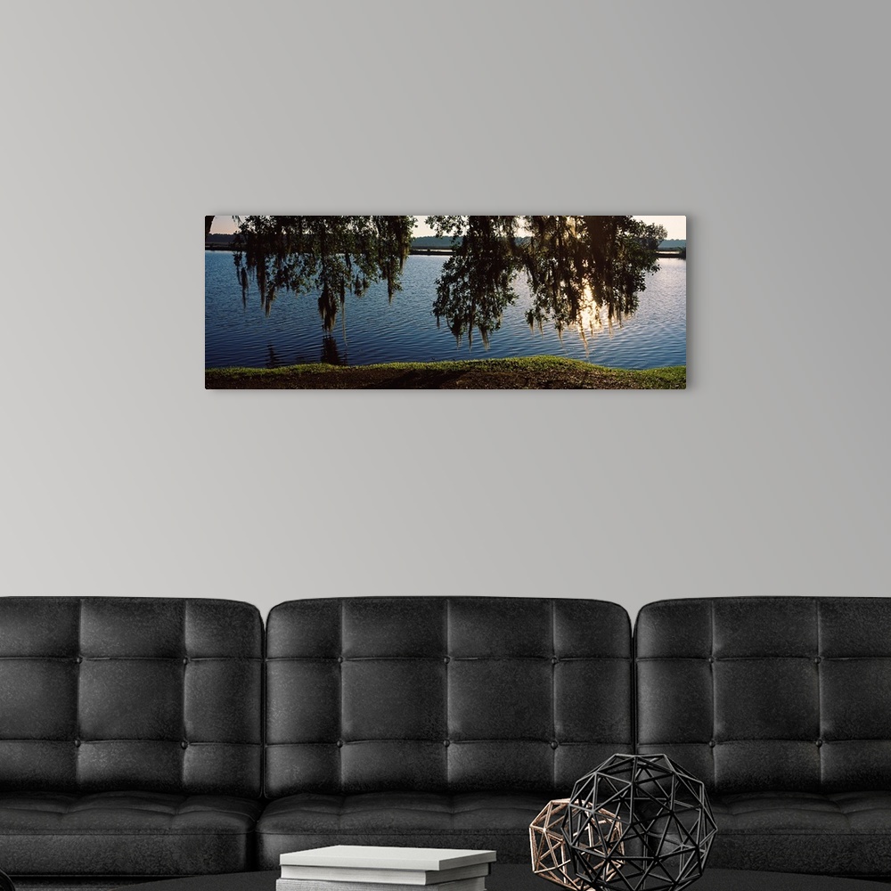 A modern room featuring Reflection of tree in a river, Middleton Place, Charleston, Charleston County, South Carolina,