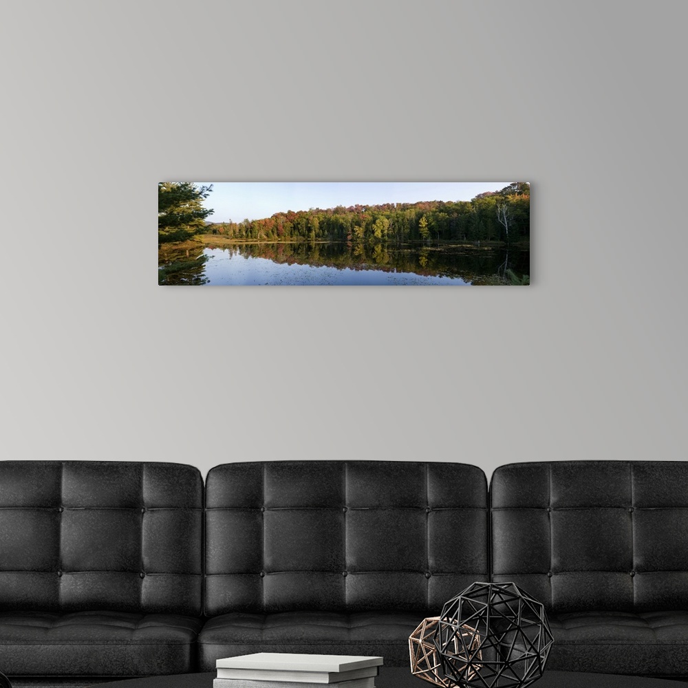A modern room featuring Reflection of trees in a lake, Adirondack State Park, New York State,