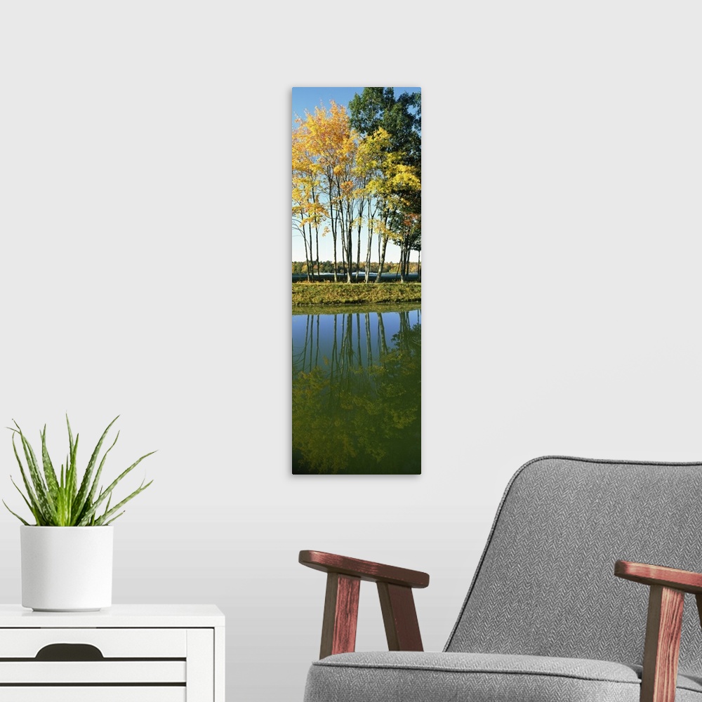 A modern room featuring Reflection of trees in a lake, New England