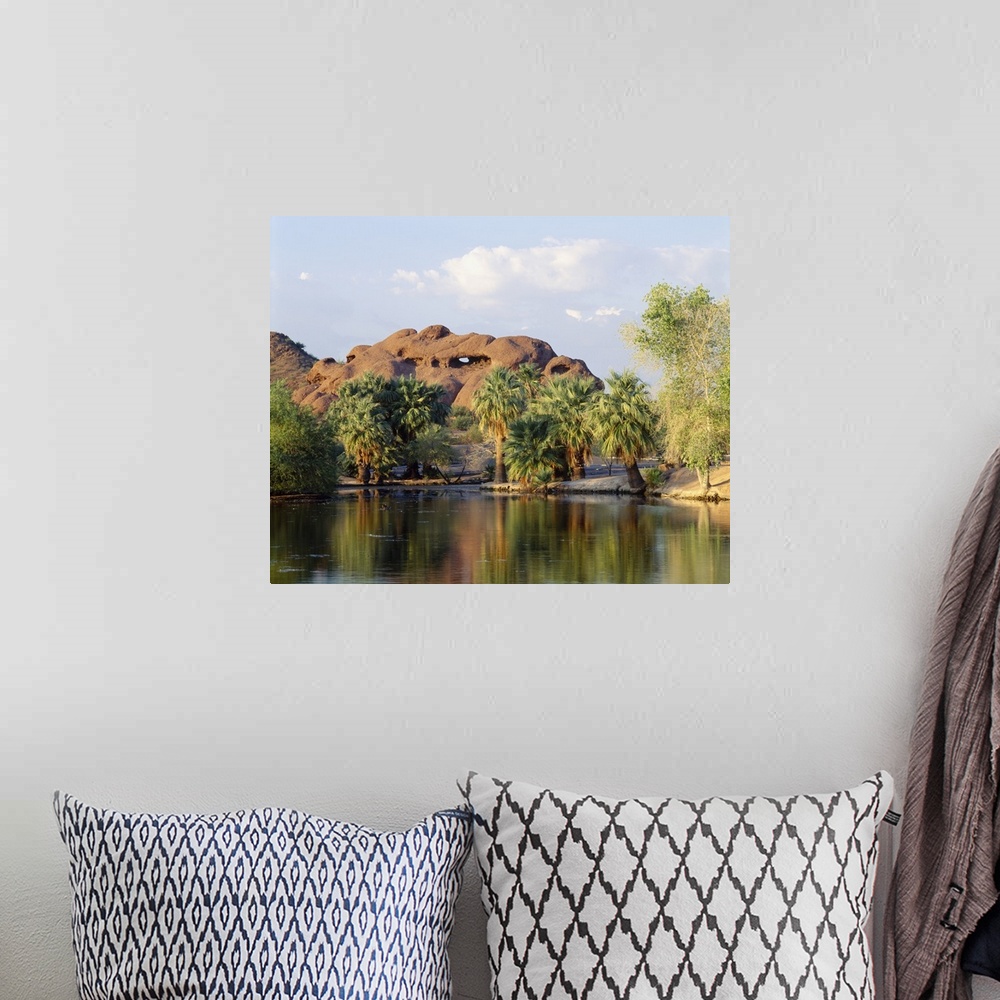 A bohemian room featuring Reflection of trees in a park, Papago Park, Phoenix, Maricopa County, Arizona