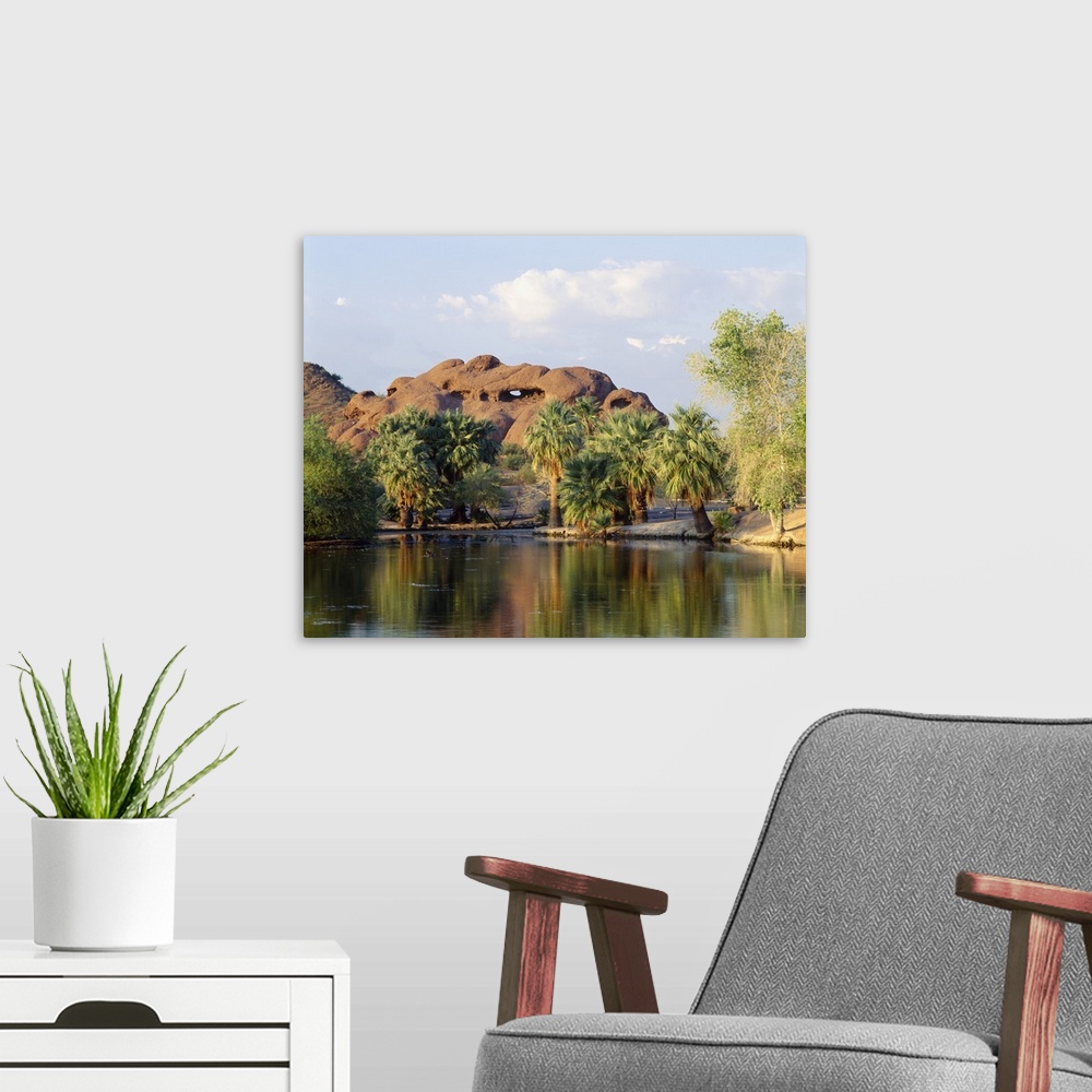 A modern room featuring Reflection of trees in a park, Papago Park, Phoenix, Maricopa County, Arizona
