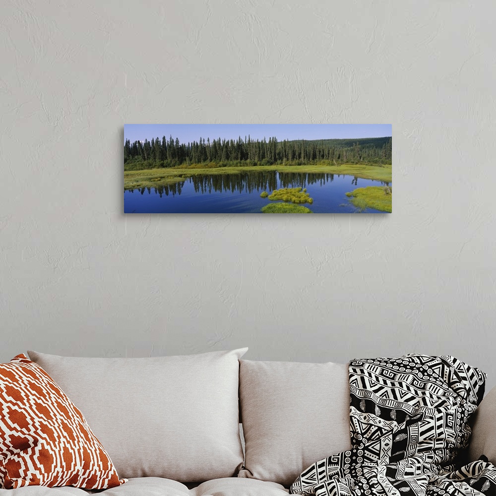 A bohemian room featuring Reflection of trees in a pond, British Columbia, Canada