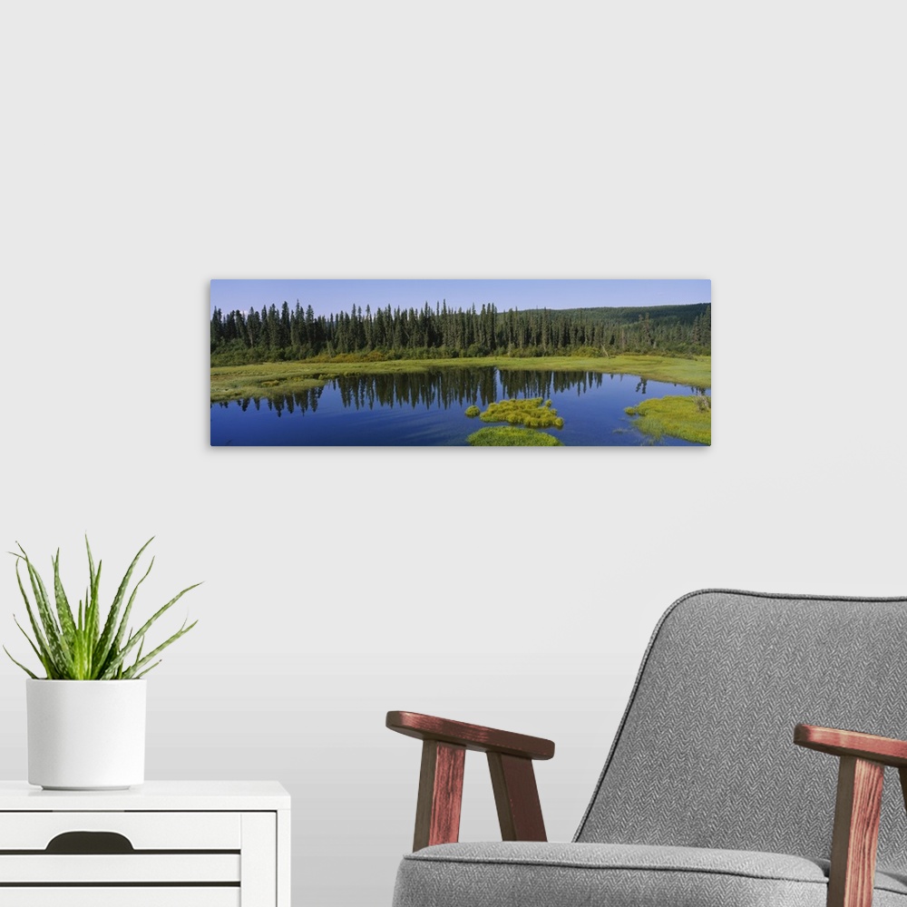 A modern room featuring Reflection of trees in a pond, British Columbia, Canada