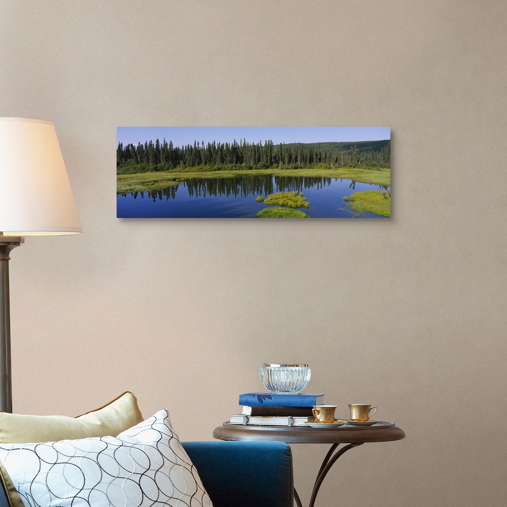 A traditional room featuring Reflection of trees in a pond, British Columbia, Canada
