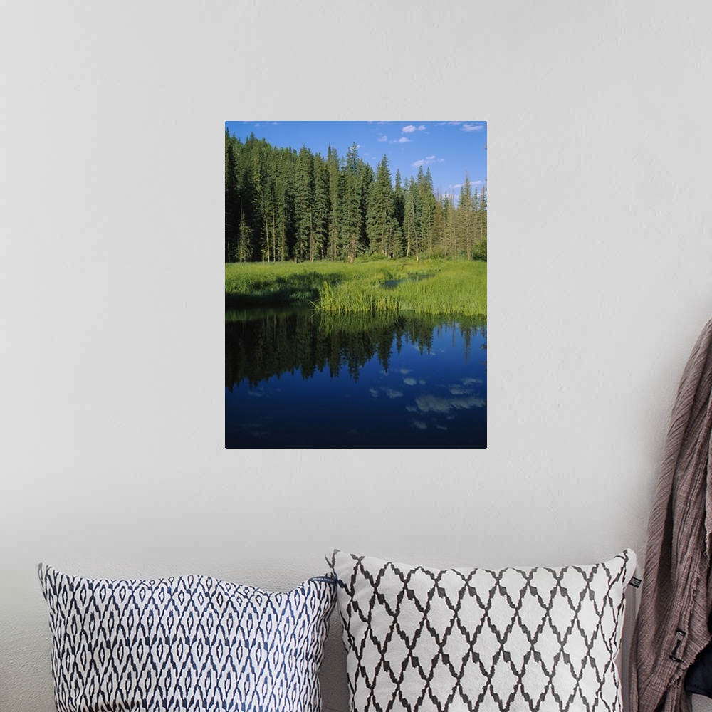 A bohemian room featuring Reflection of trees in a river, Little Colorado River, Mt Baldy Wilderness Area, Apache-Sitgreave...