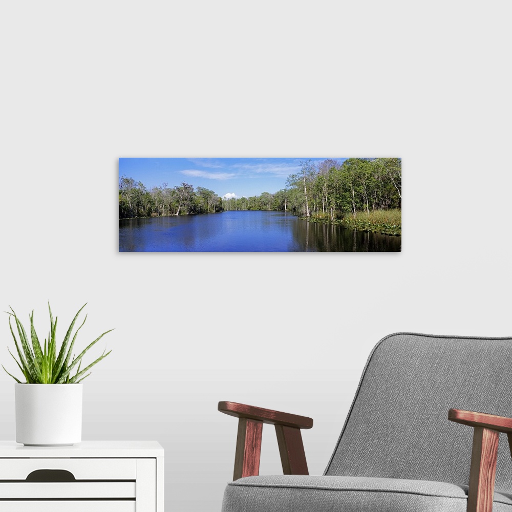 A modern room featuring Reflection of trees in a river, Lower Suwannee National Wildlife Refuge, Suwannee River, Florida