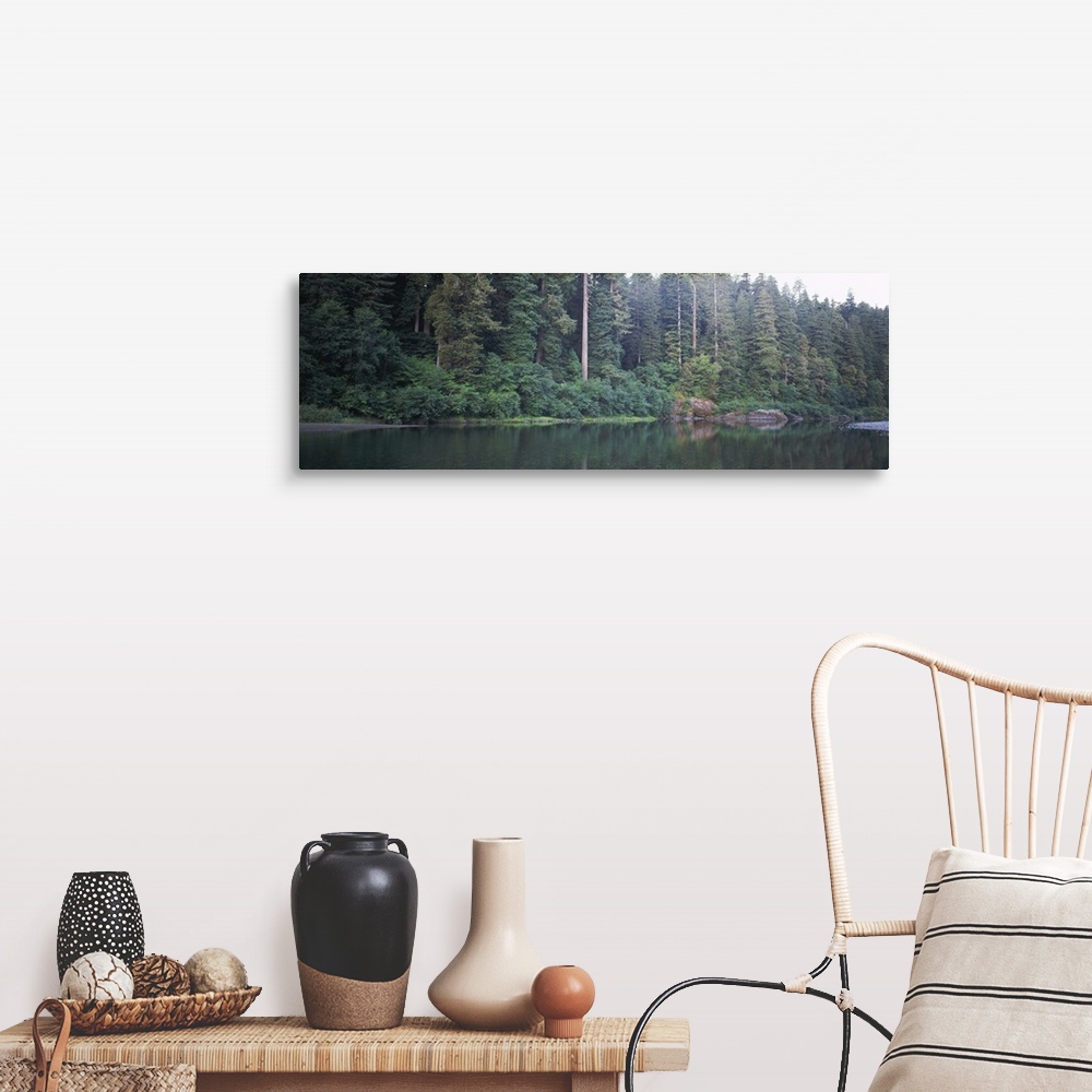 A farmhouse room featuring Reflection of trees in a river, Smith River, Jedediah Smith Redwoods State Park, California