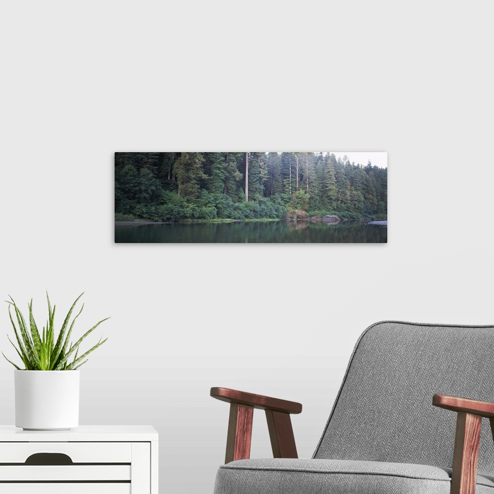 A modern room featuring Reflection of trees in a river, Smith River, Jedediah Smith Redwoods State Park, California