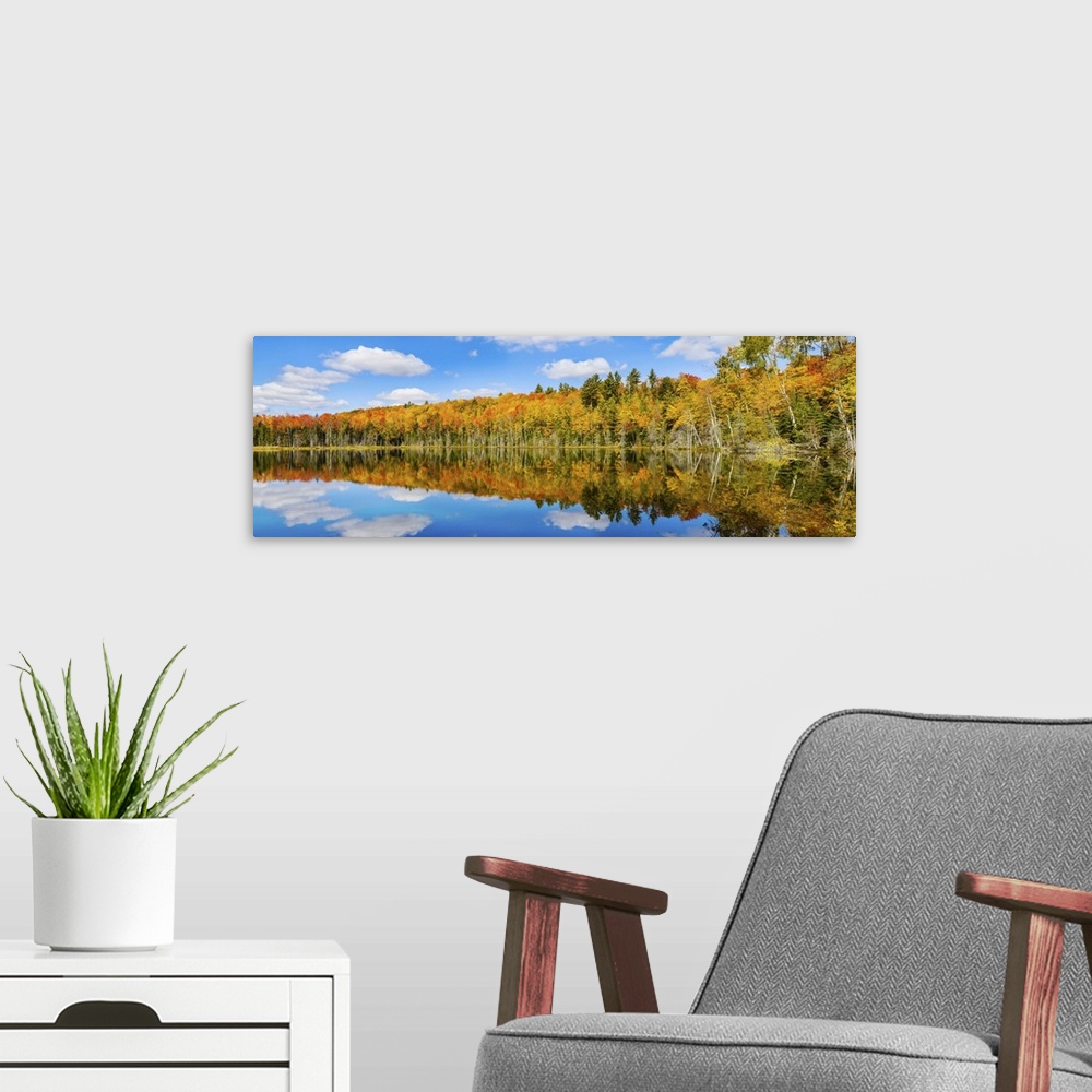 A modern room featuring Reflection of trees in Pete's Lake, Schoolcraft County, Michigan