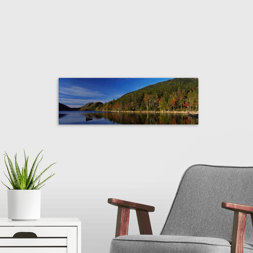 A modern room featuring Reflection of trees in water, Acadia National Park, Maine