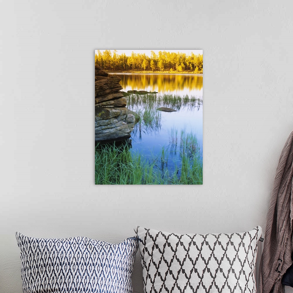 A bohemian room featuring Vertical photo of a still lake reflecting the brilliant colored fall trees and surround grass in ...