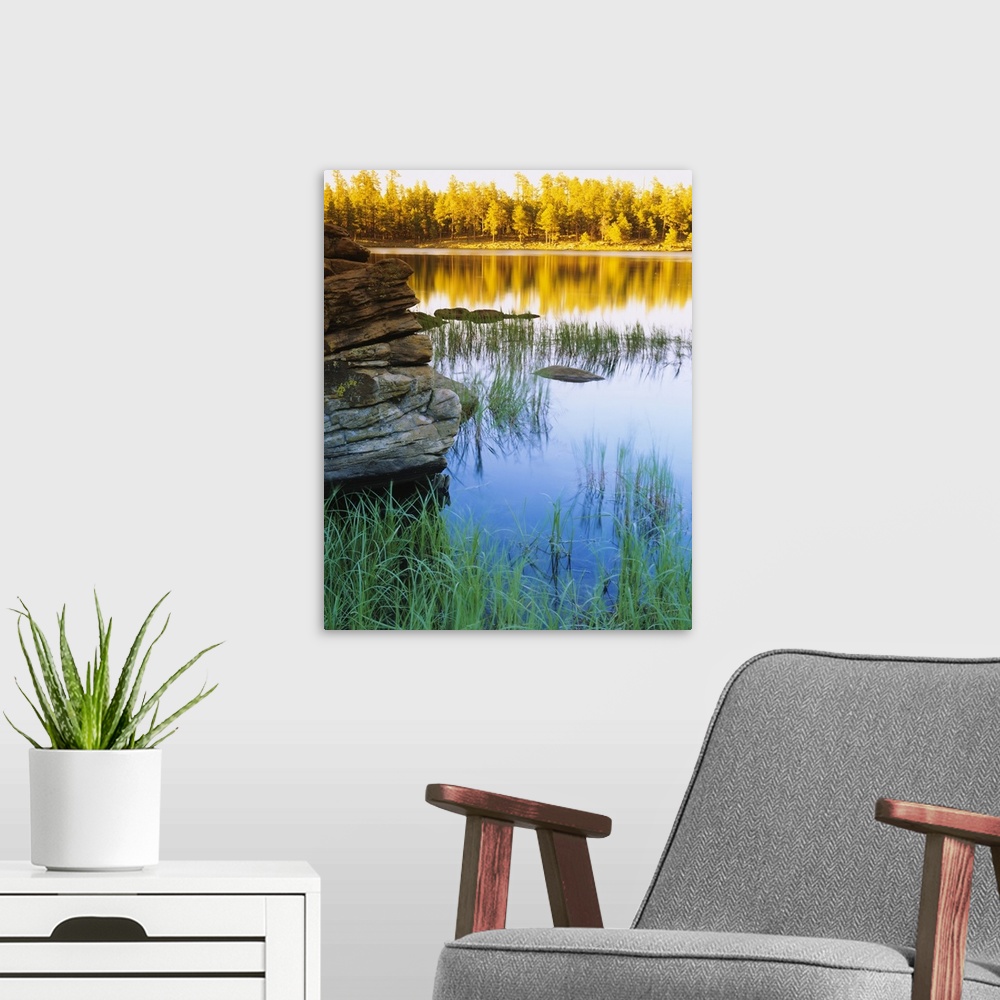 A modern room featuring Vertical photo of a still lake reflecting the brilliant colored fall trees and surround grass in ...
