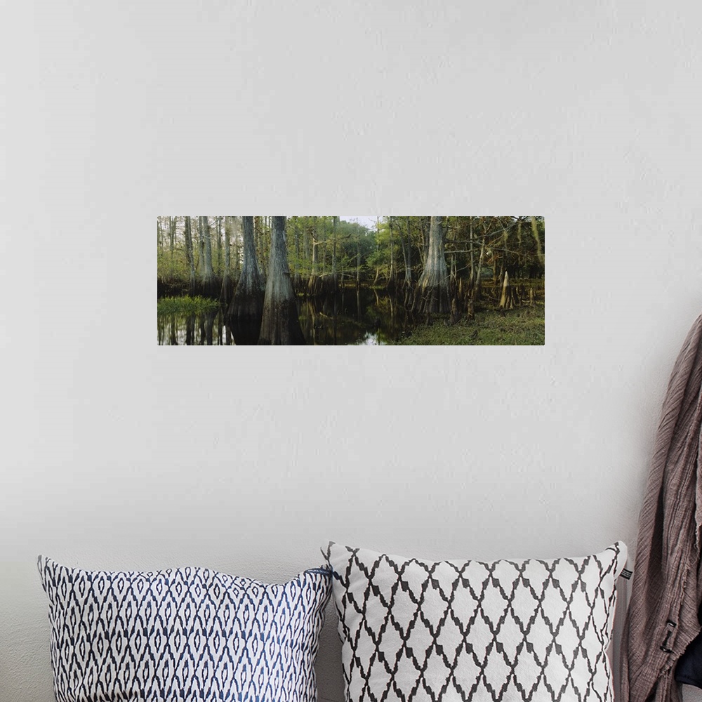 A bohemian room featuring Large panoramic piece of a dense forest with it's trees growing out of swamp water and their refl...