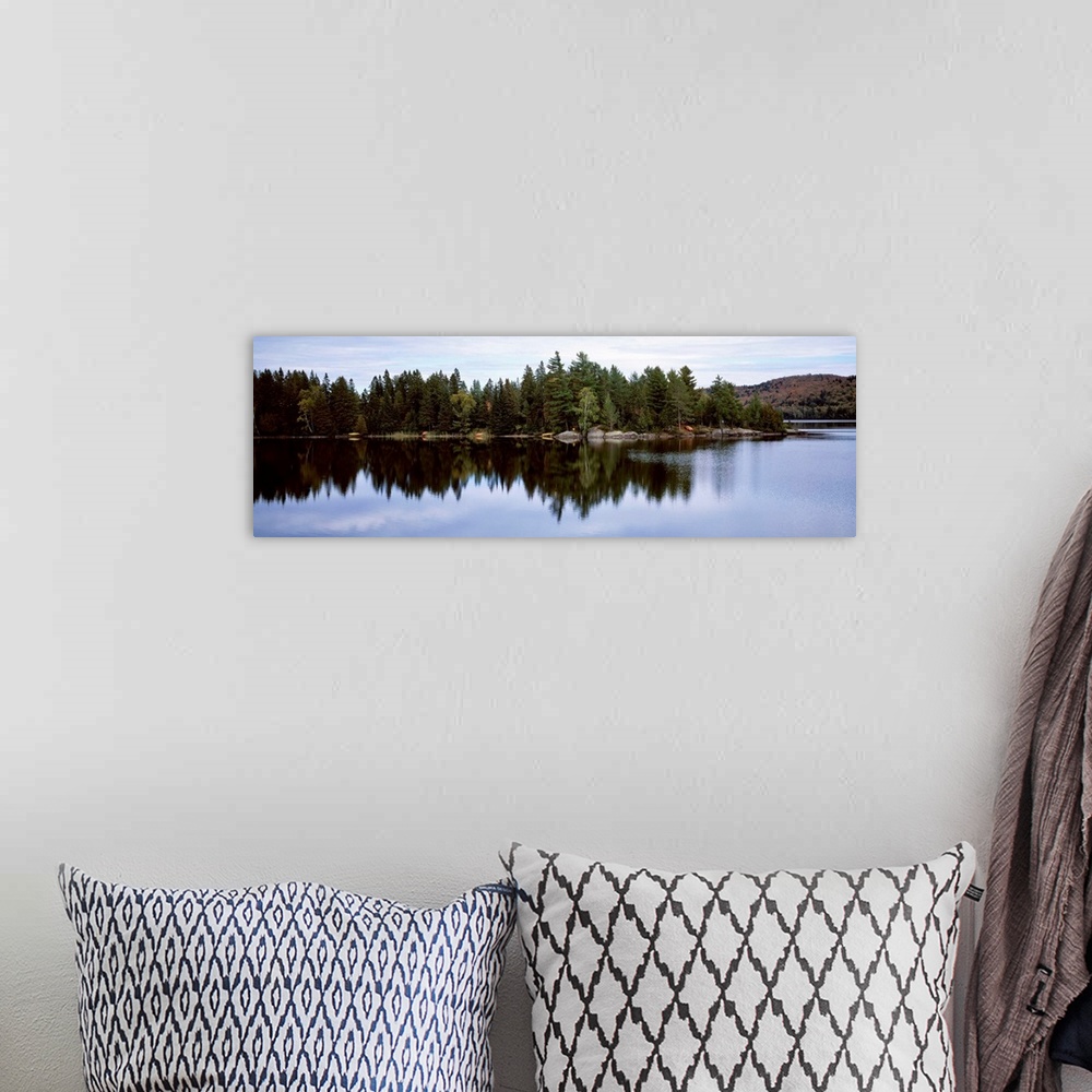 A bohemian room featuring Reflection of trees on water in a lake, Lake Of Two Rivers, Ontario, Canada