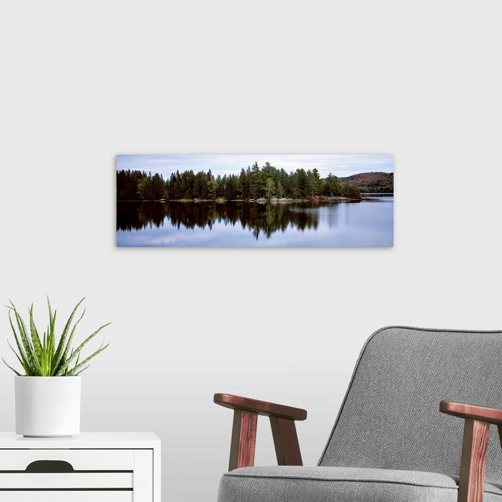 A modern room featuring Reflection of trees on water in a lake, Lake Of Two Rivers, Ontario, Canada