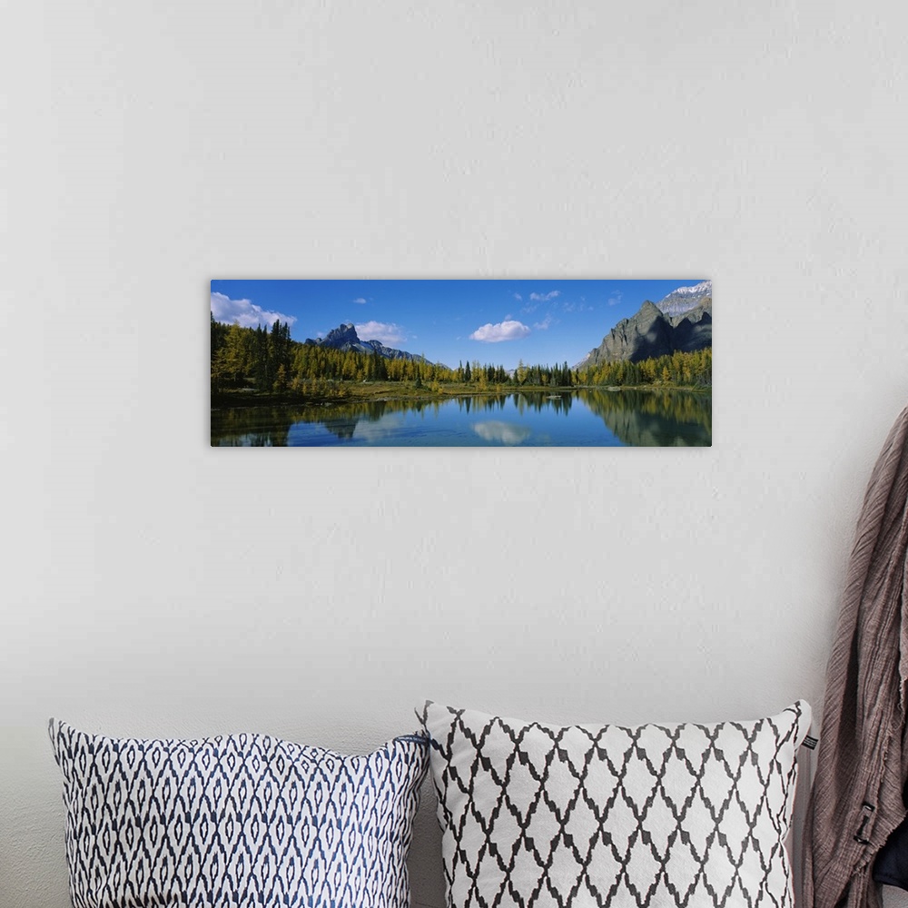 A bohemian room featuring Reflection of trees on water, Lake OHara, Yoho National Park, British Columbia, Canada