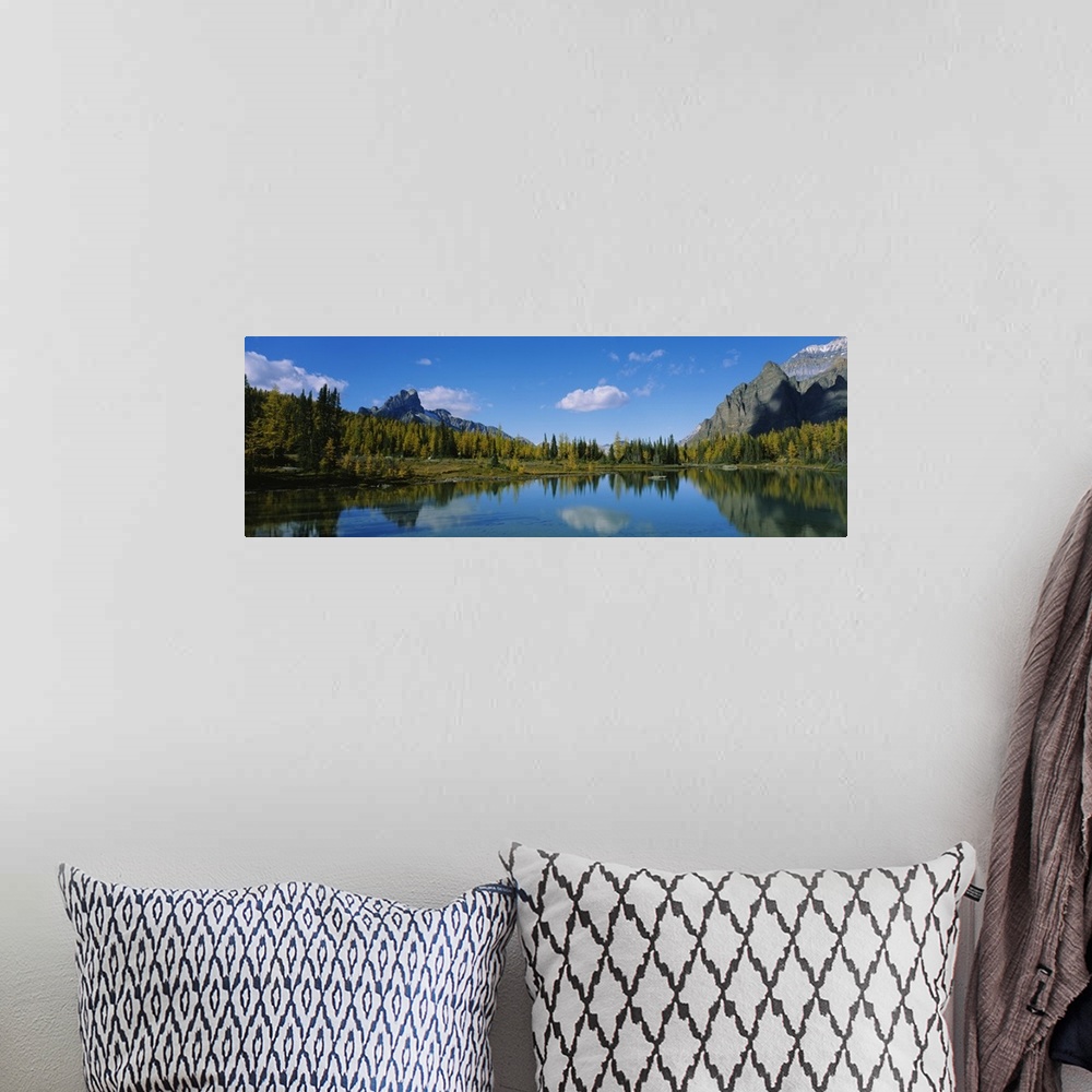 A bohemian room featuring Reflection of trees on water, Lake OHara, Yoho National Park, British Columbia, Canada
