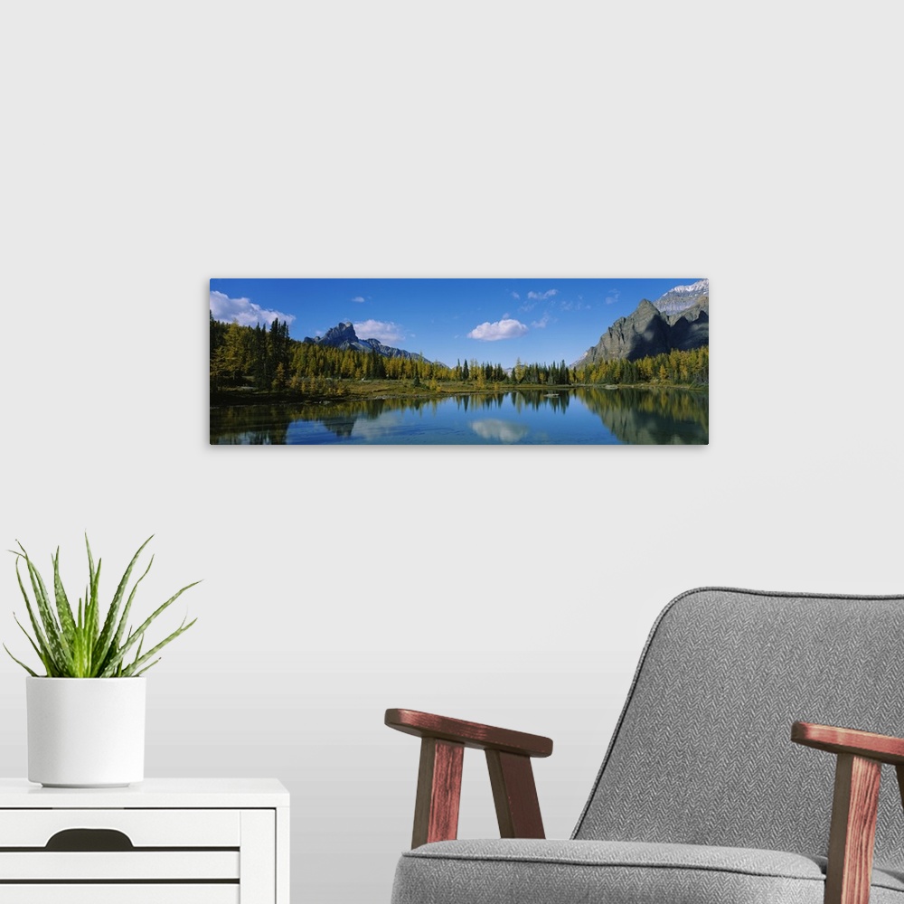 A modern room featuring Reflection of trees on water, Lake OHara, Yoho National Park, British Columbia, Canada