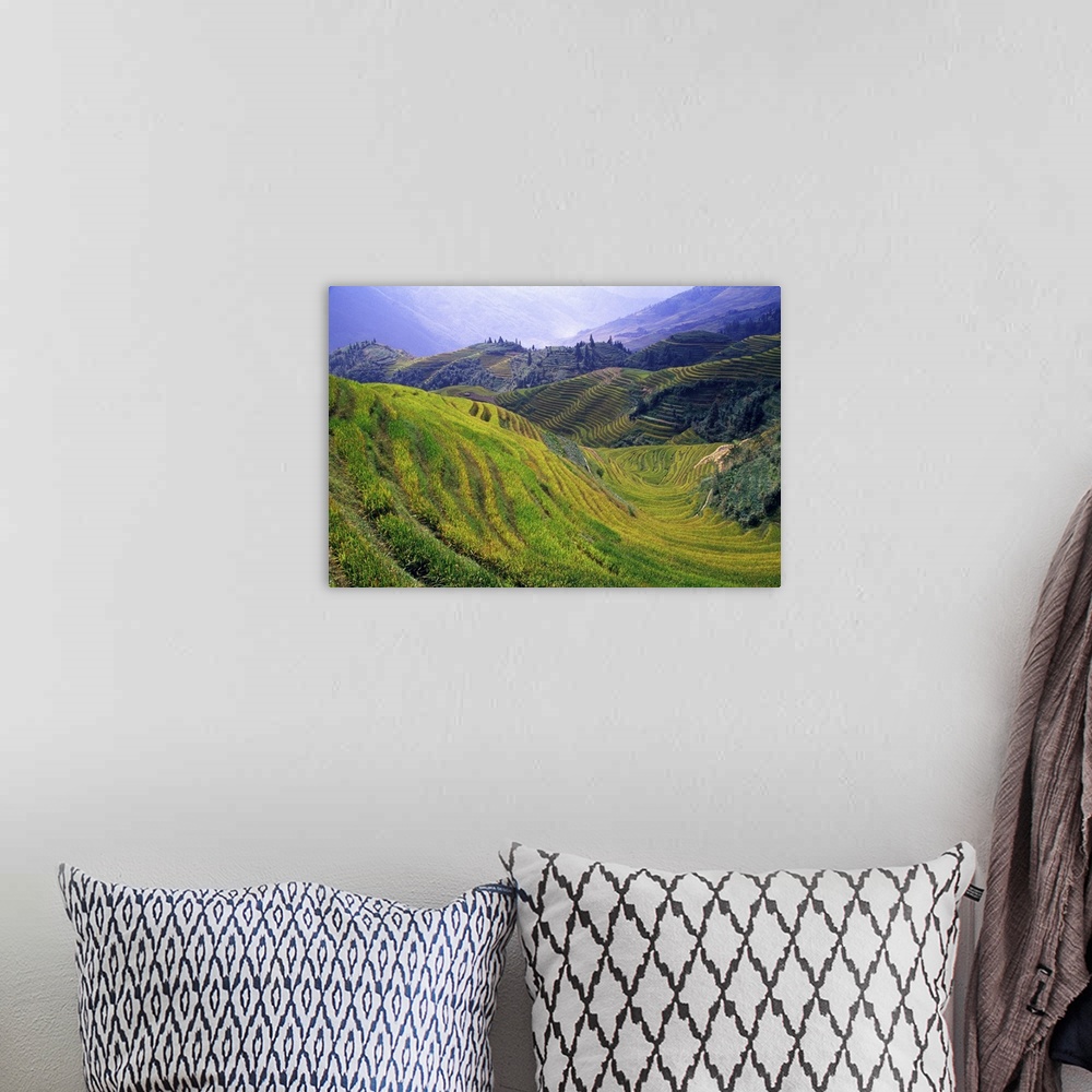 A bohemian room featuring Rice paddy terraces on rolling hills, Longsheng Area, China.