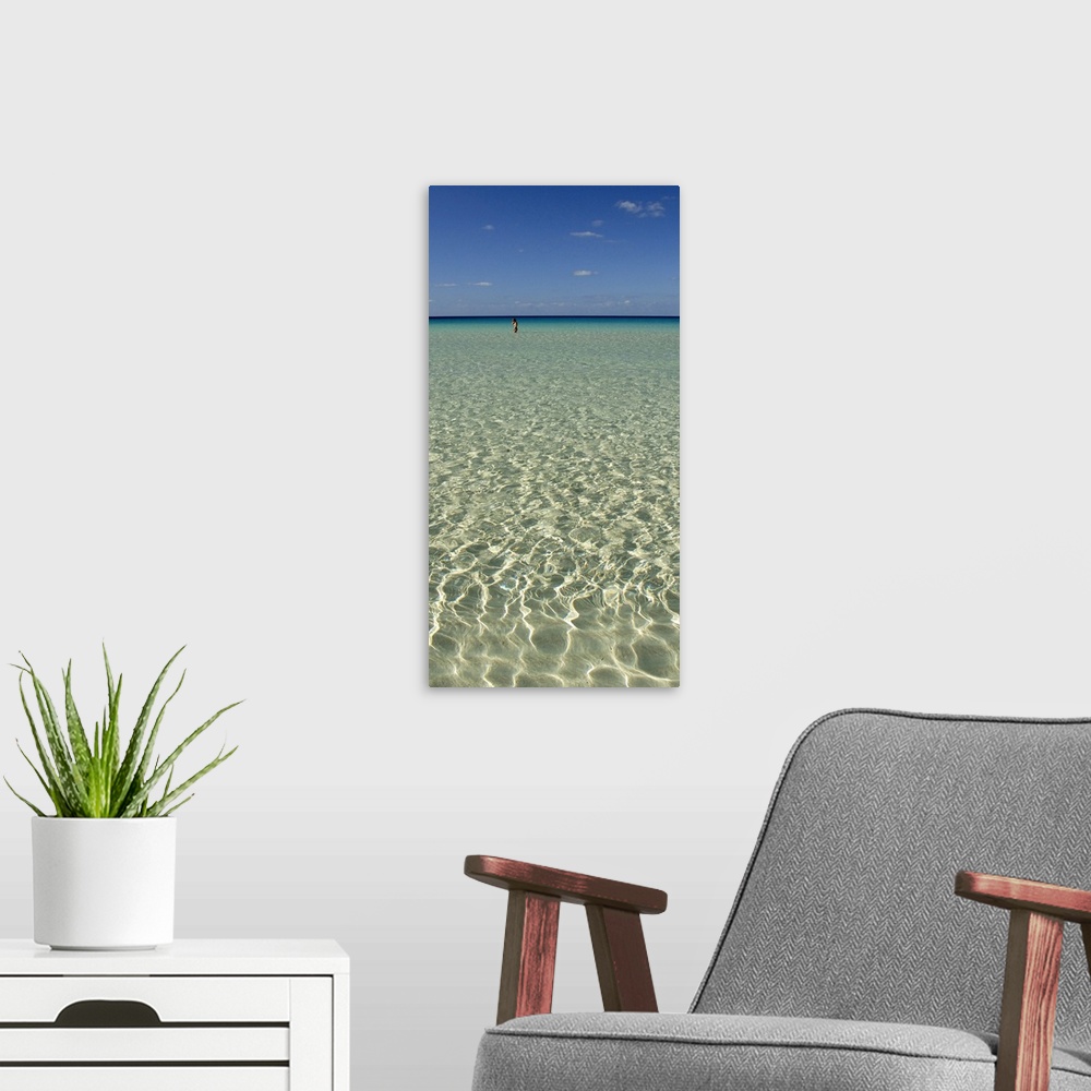 A modern room featuring Vertical panoramic of the ocean water and sky in Spiaggia Dei Conigli, Italy.