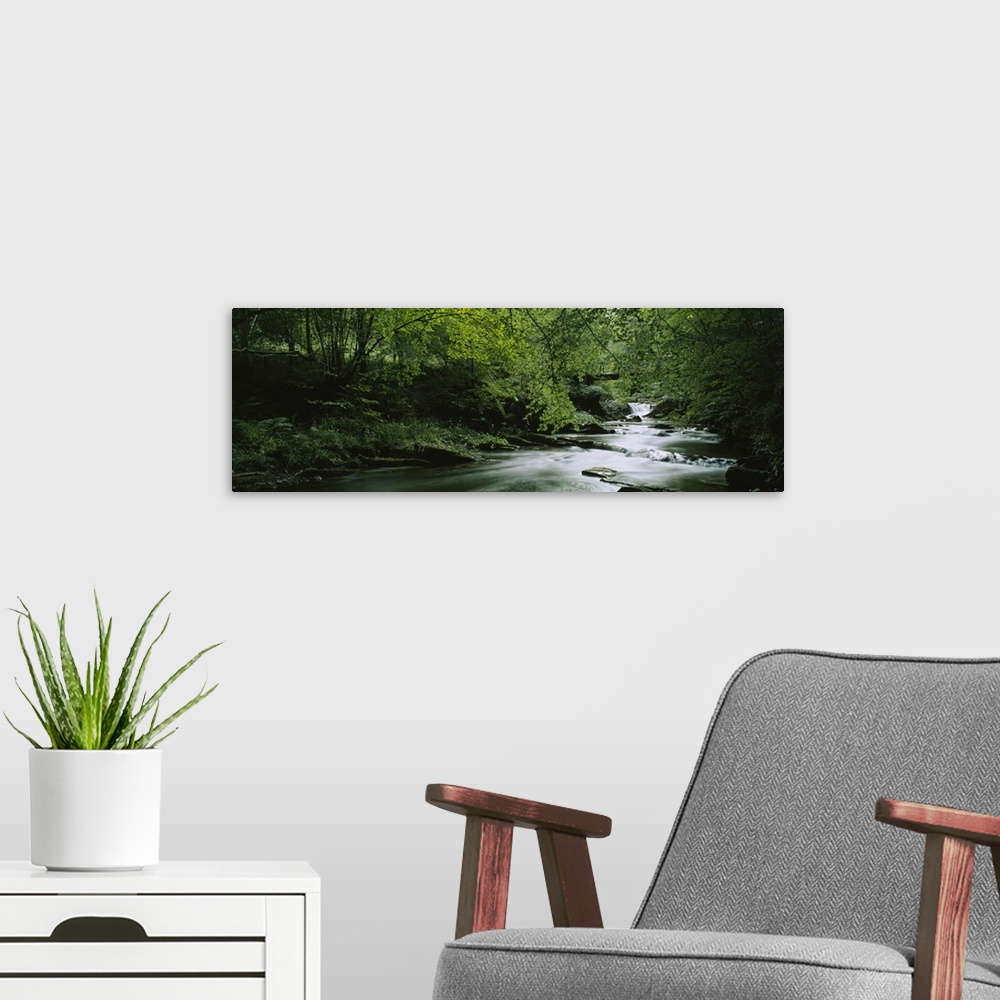 A modern room featuring Wide angle photograph of a river running through an overgrown,  green forest in Aberfeldy, Perth ...