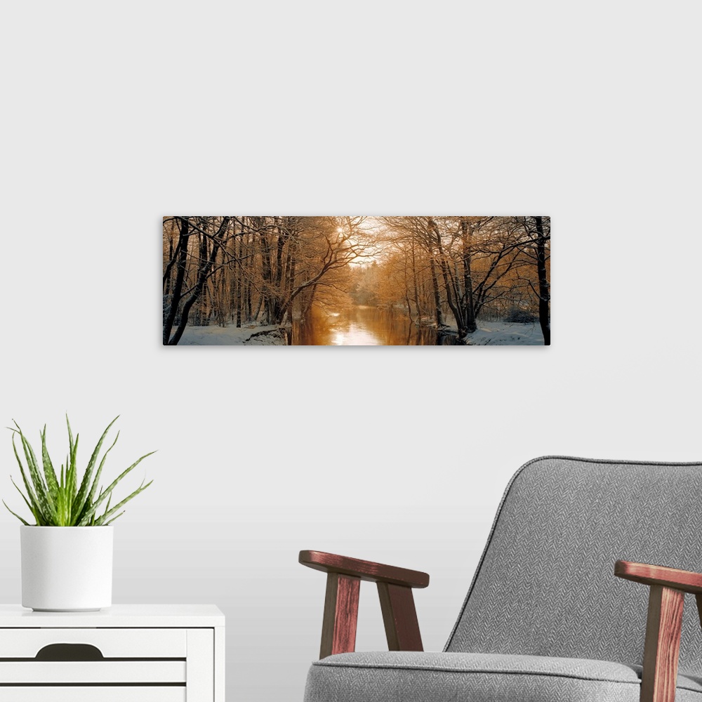 A modern room featuring Wall art of a snowy landscape full of trees is divided by a calm river backlit by warm sunlight.