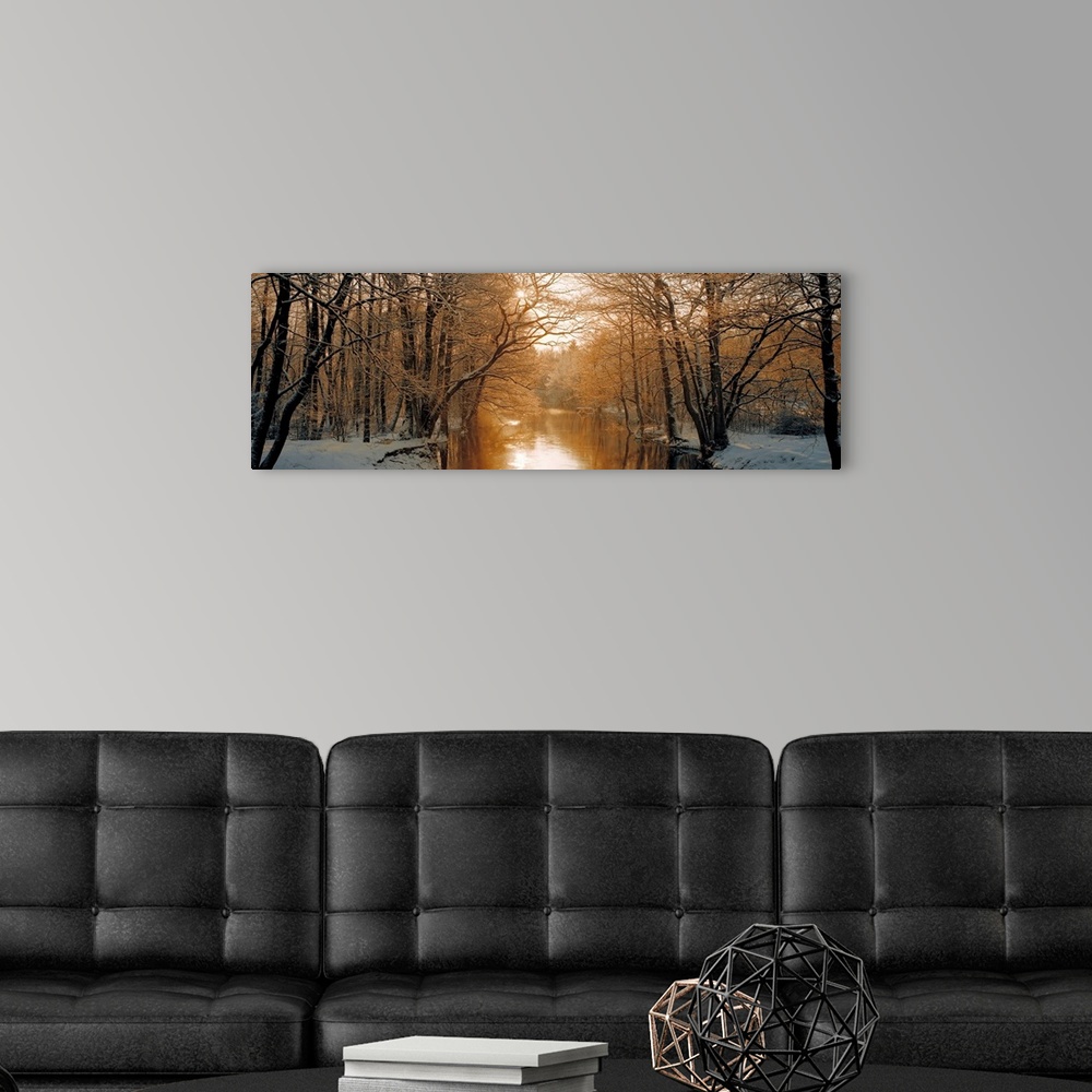 A modern room featuring Wall art of a snowy landscape full of trees is divided by a calm river backlit by warm sunlight.