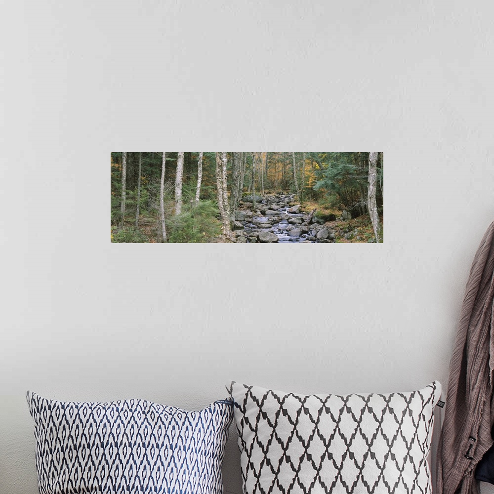 A bohemian room featuring River flowing through a forest, Adirondack Mountains, New York State
