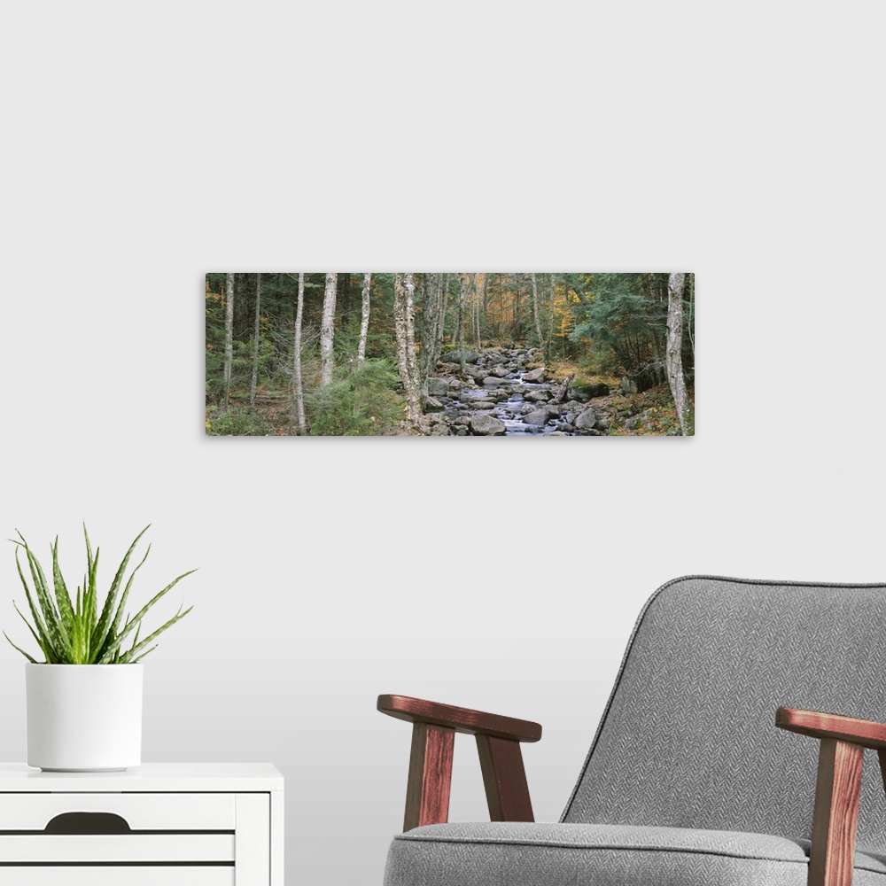 A modern room featuring River flowing through a forest, Adirondack Mountains, New York State